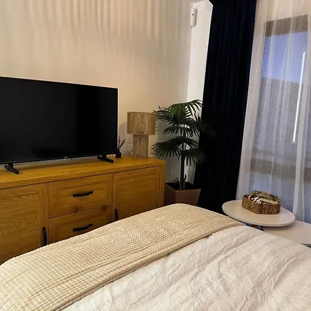 Apartment Cozy With Mountain View