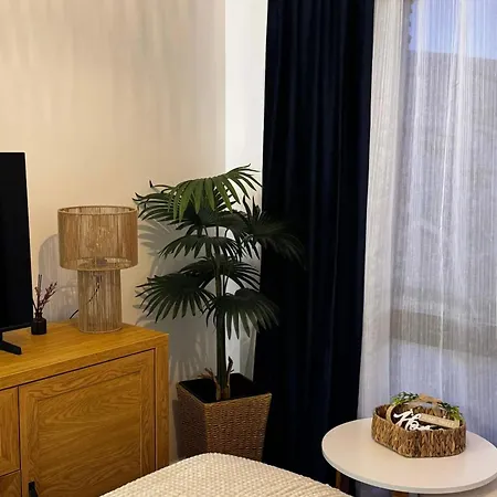 Apartment Cozy With Mountain View
